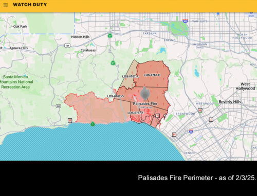 Los Angeles Wildfires Jan. 2025 – CERT Involvement